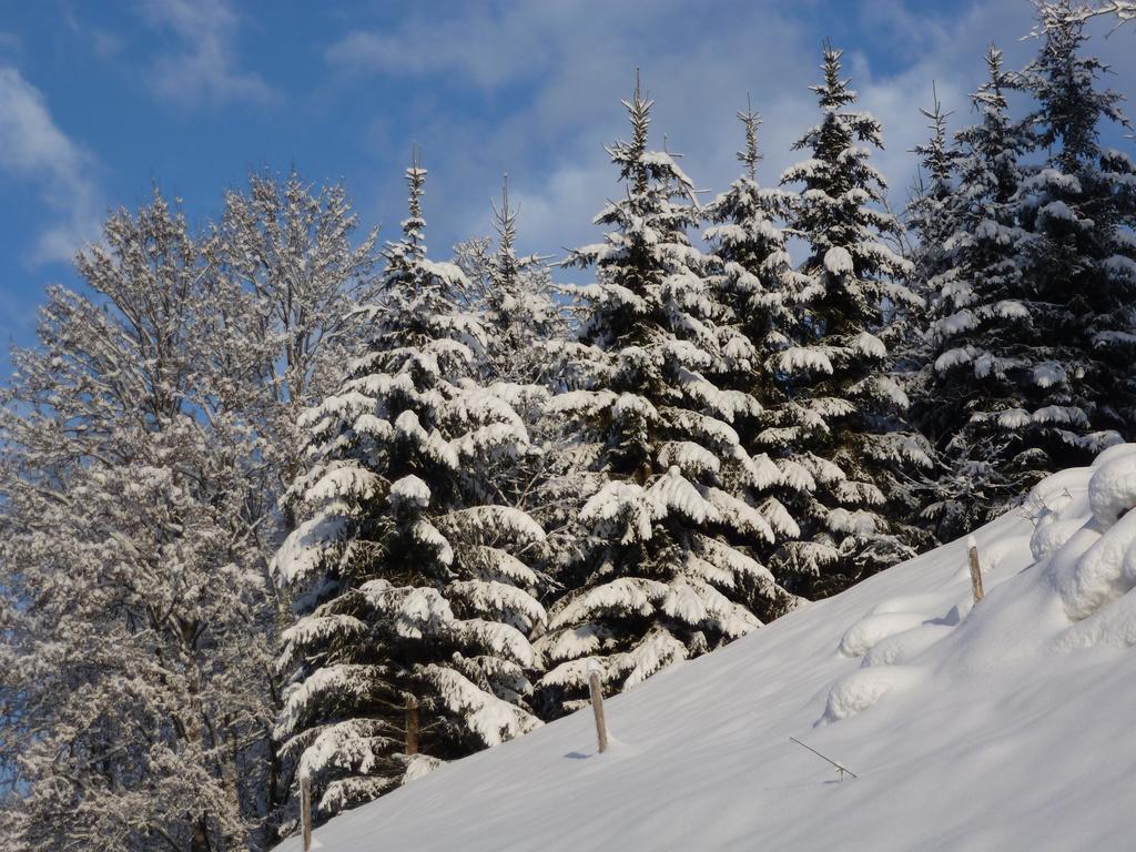 Ripper Saalbach
