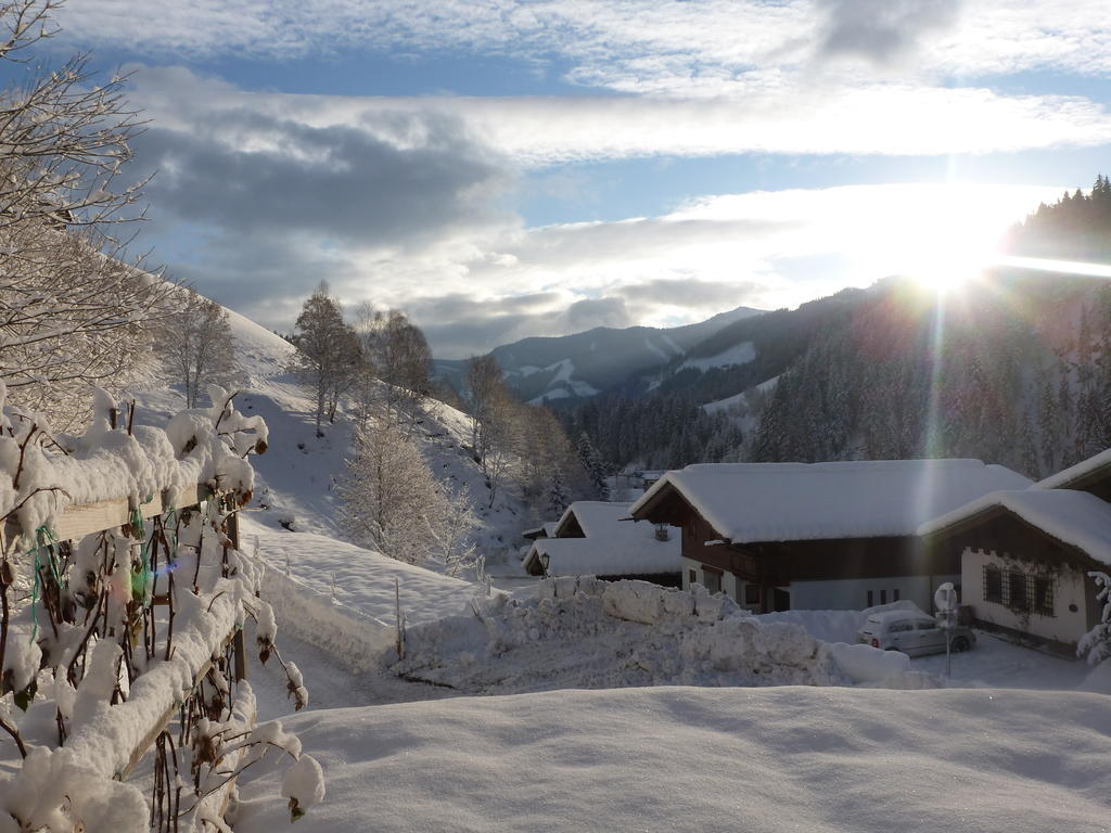 Apartment Ripper Saalbach
